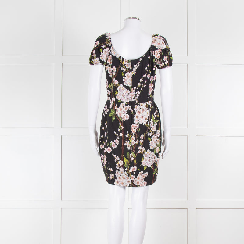 Dolce & Gabbana Black Blossom Print Mini Dress