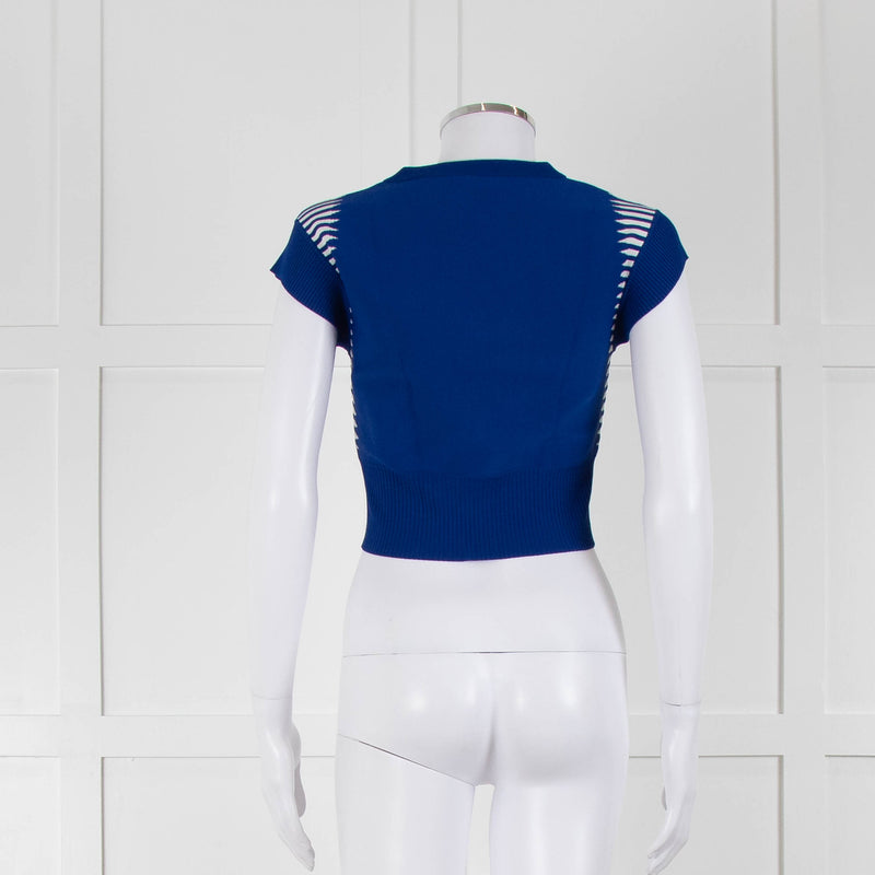 Alexander McQueen Blue White Stretch Knit Cropped Top