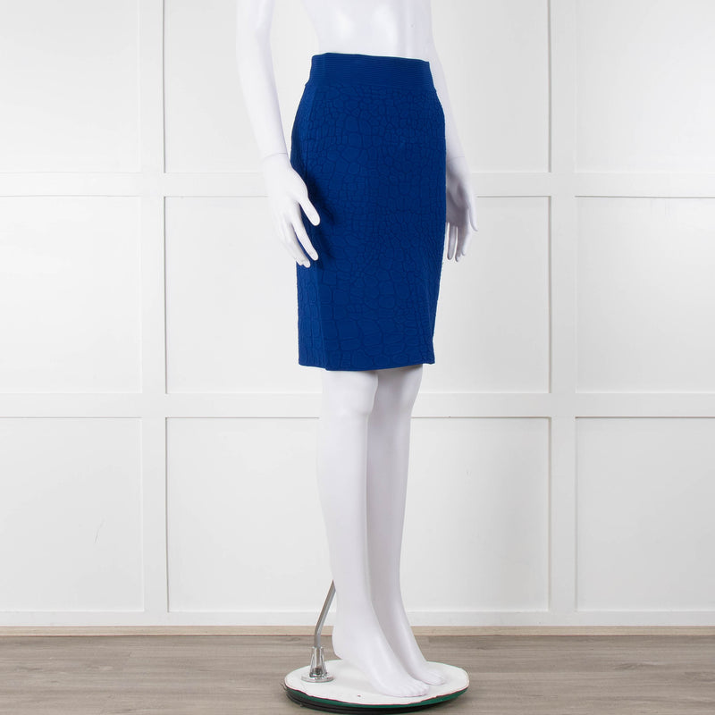 Alexander McQueen Blue Stretch Jacquard Knit Skirt