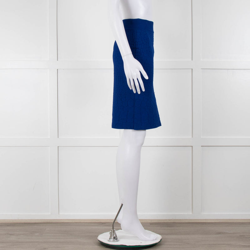 Alexander McQueen Blue Stretch Jacquard Knit Skirt