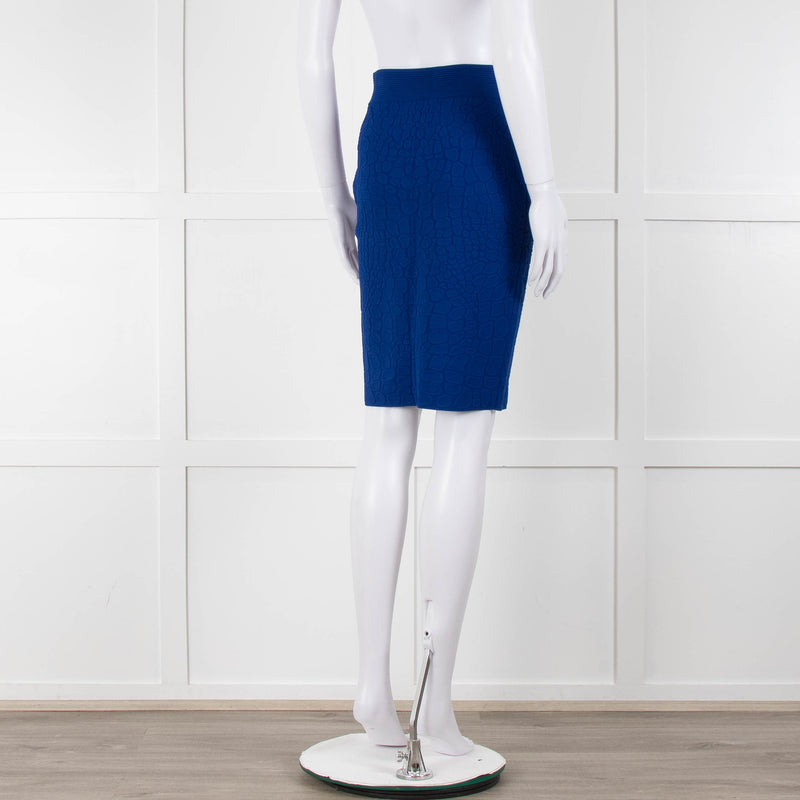 Alexander McQueen Blue Stretch Jacquard Knit Skirt