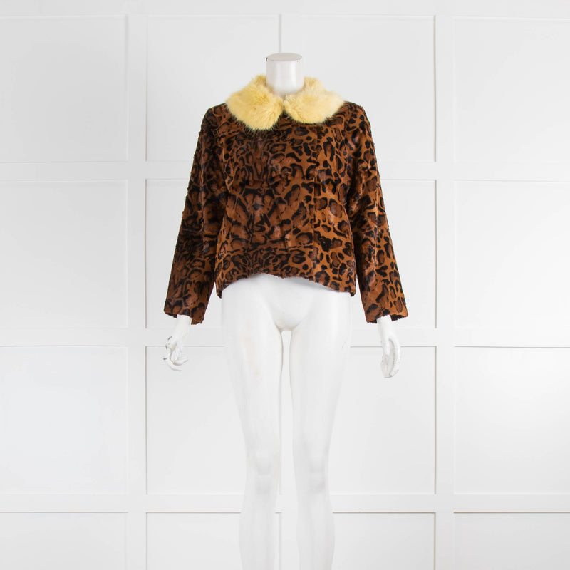 Shrimps Leopard Jacket Yellow Fur Collar