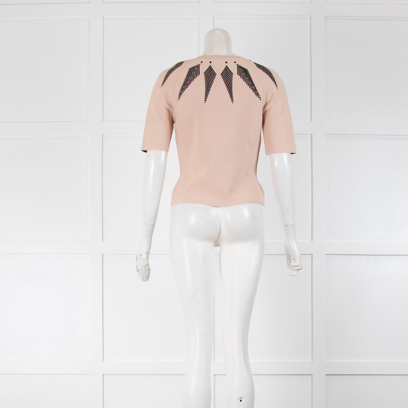 Alexander McQueen Pink Short Sleeve Top With Black Chevrons On Front