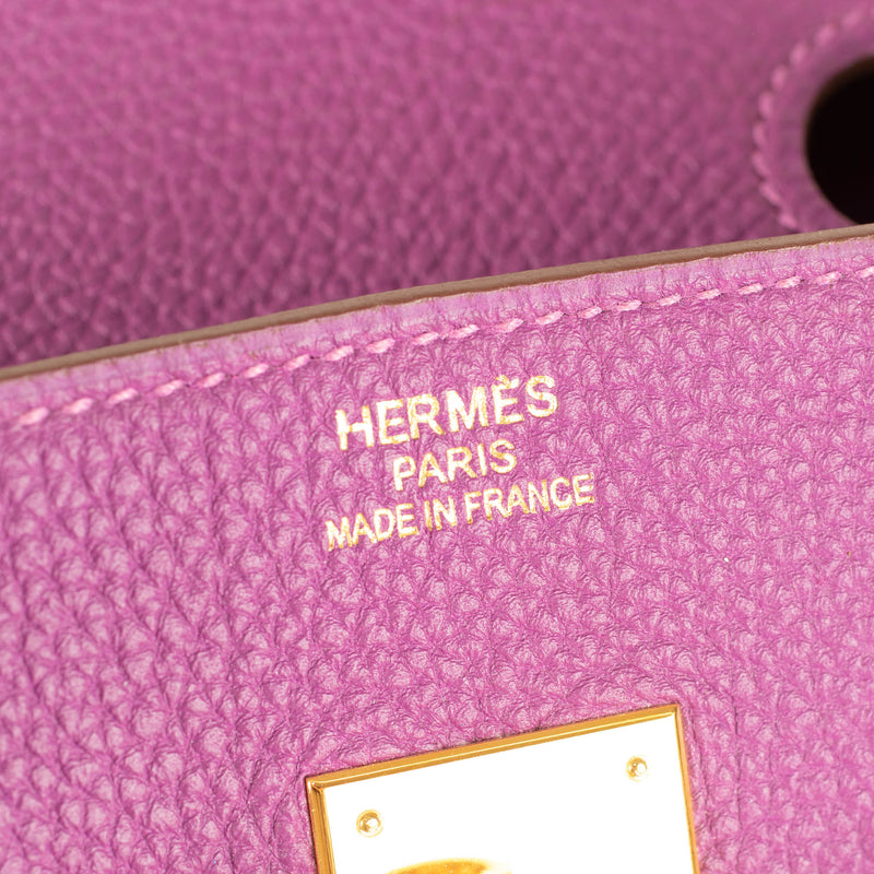 Hermes Purple Anemone Togo Gold Hardware Birkin 35 Bag