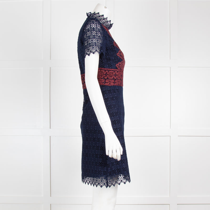 Sandro Navy & Burgundy Lace Mini Dress